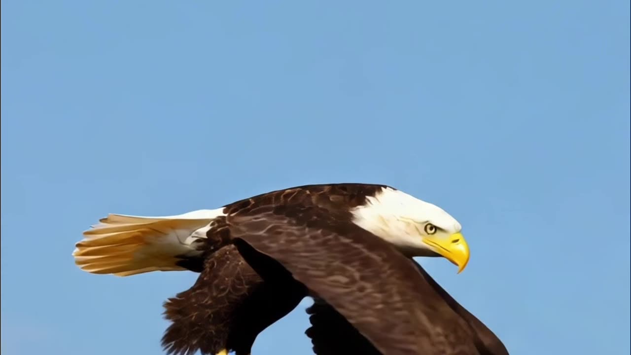 🇮🇱💥 No “Palestinian people” in history—Yasser Arafat INVENTED the label in the 1960s! 🗺️