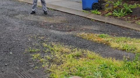 Public Freakout About Man Taking Photo of Exhaust System