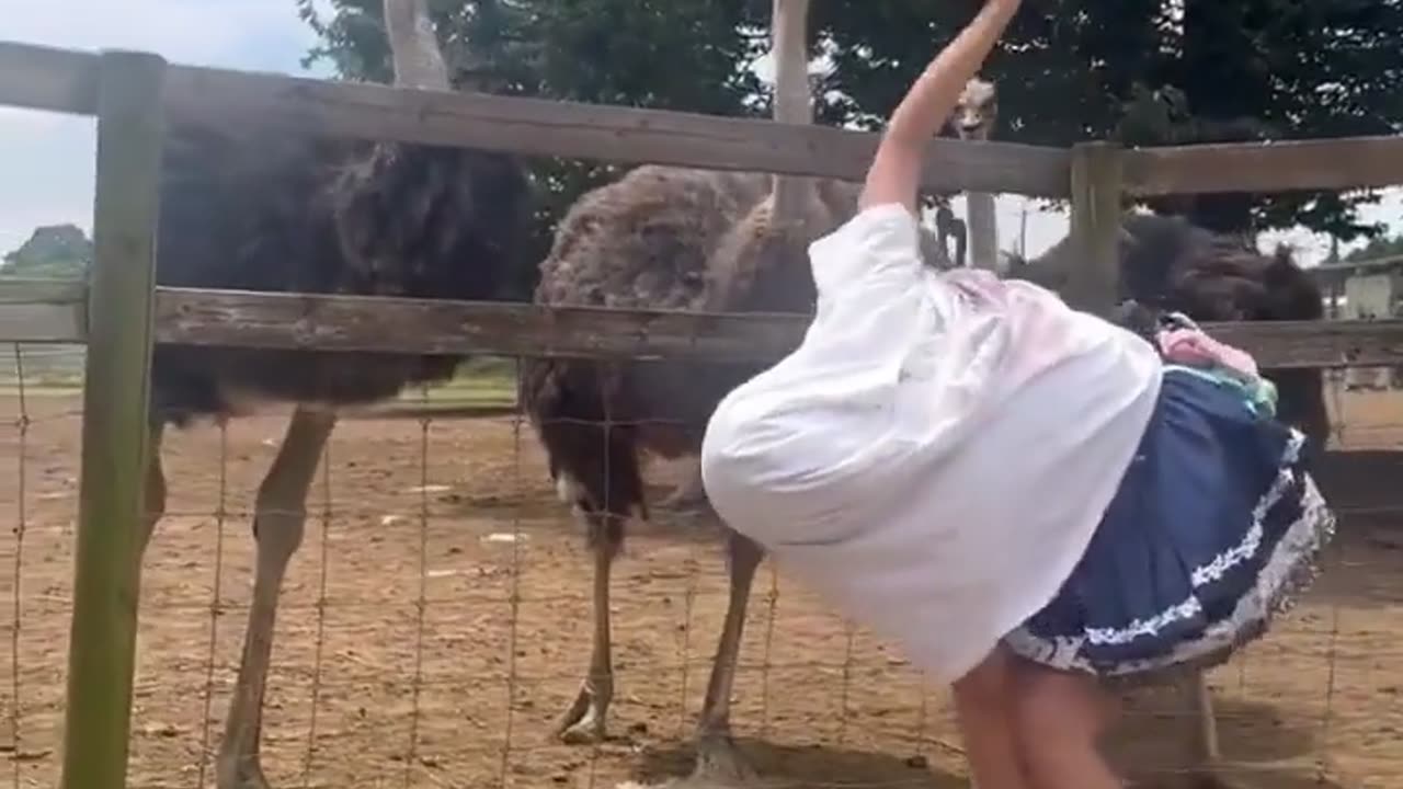 🤔😂 Wait Until You See This Unexpected Look! | FunFM