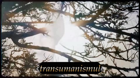 💫"Nu o sa parasesti Pamantul...o sa parasesti frecventa"❗❗❗💫-Dolores Cannon