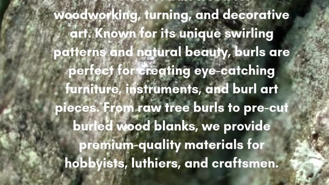 Burls: Nature’s Unique Wood Art