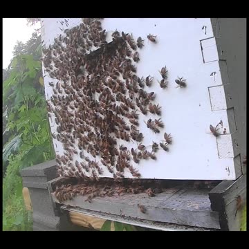 Monday Morning Sunrise