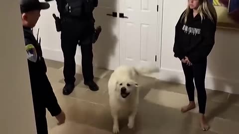 I want my lawyer ,I know my rights!😂👮🏻‍♂️🚔