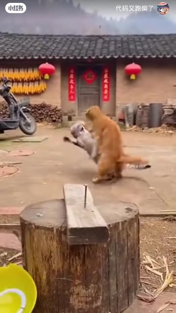 Funny Scene 😂 | Ye Video Miss Mat Karna | Comedy Short