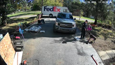 Love Story Between My Dog and the FedEx Man