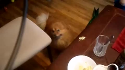 Harely and my newphews Zane and jonny all cuddling together!