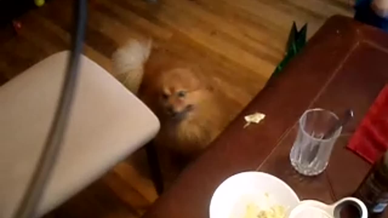 Harely and my newphews Zane and jonny all cuddling together!