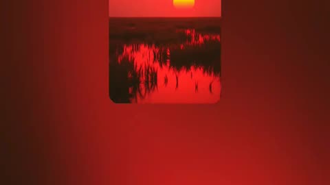 "Red Swamp" by RedSixerFan 11/20/25