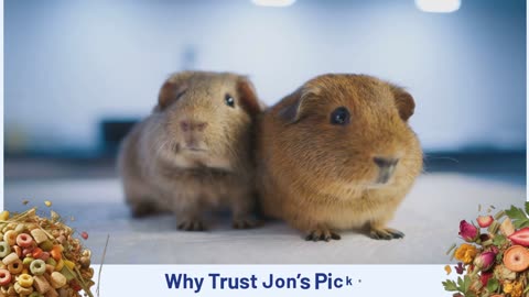 Food For Guinea Pigs