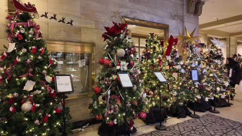 Christmas Trees somewhere in Canada