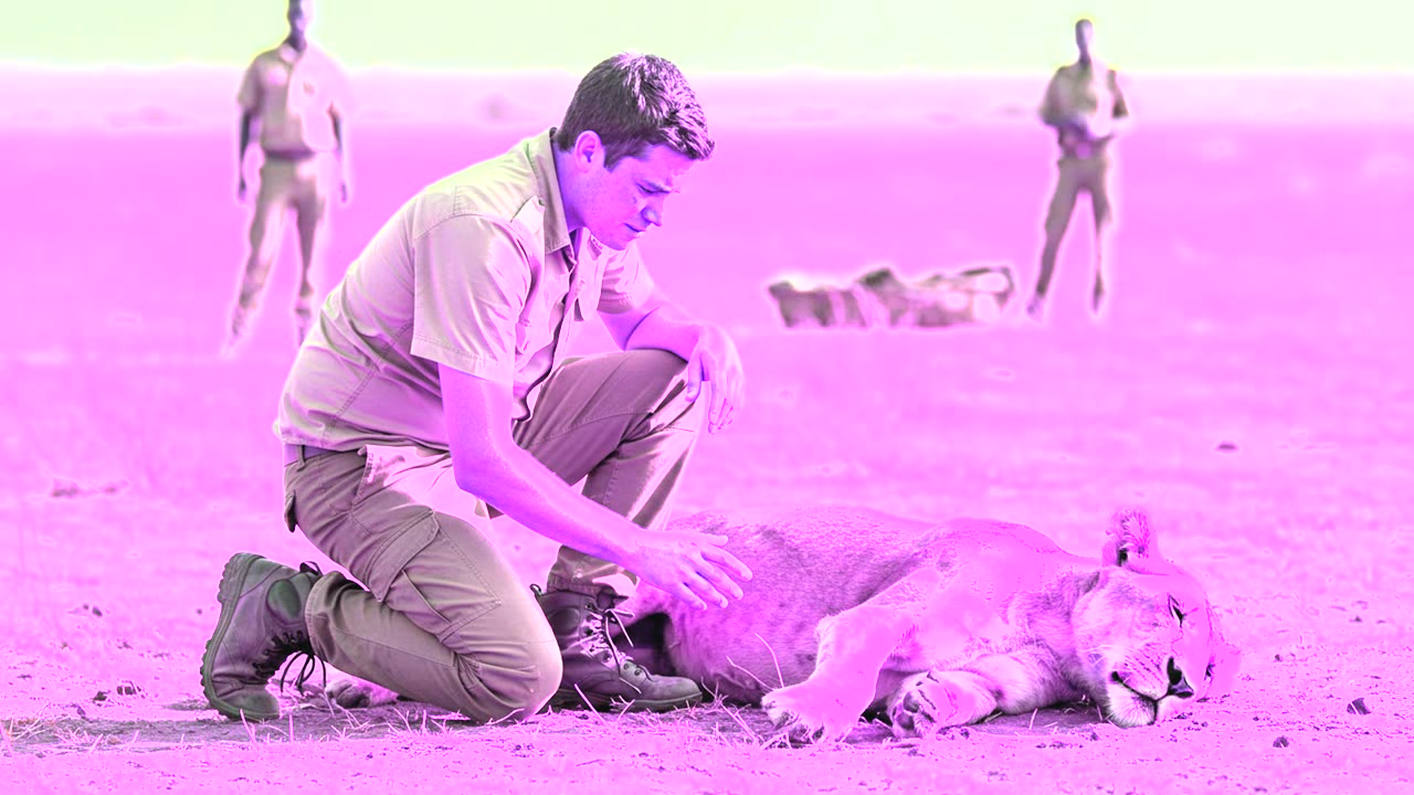 The Lion Who Refused to Die: Kofi’s Incredible Comeback