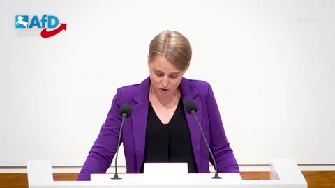 ⚠️ AFD-ABRECHNUNG im Bundestag! Behrendt knallt raus: „Das ist nichts als HEUCHELEI!“