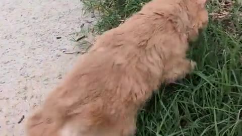 😂💪 I'm Not Strong Enough to Do This - Watch What Happens Next! | FunFM