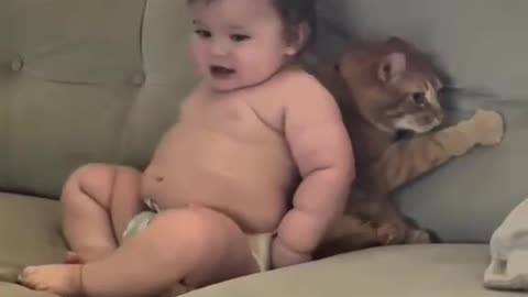 Cats 🐱 and babies 👶