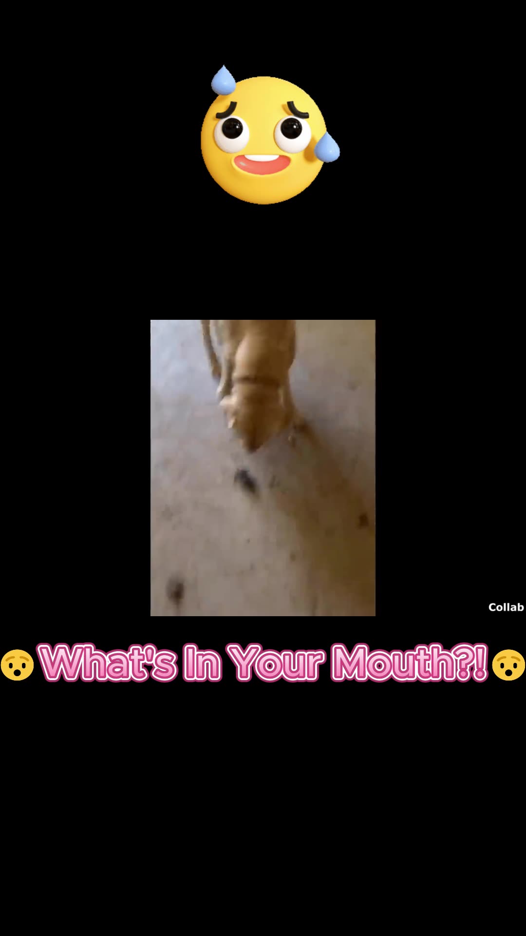 😂My Dog’s Mouth Was HIDING a HUGE Secret… 😂🐶‼️