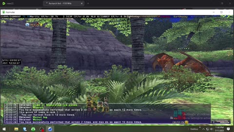 Playing Final Fantasy XI Online