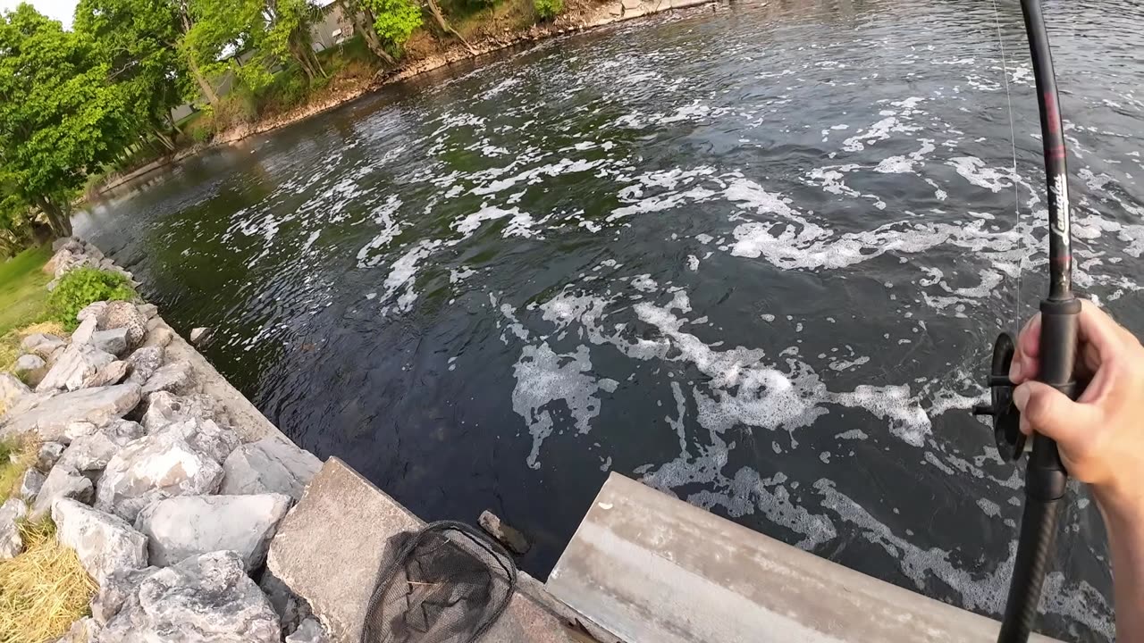Fishing bass on the centerpin! Downtown after work! (Missed a Muskie!)