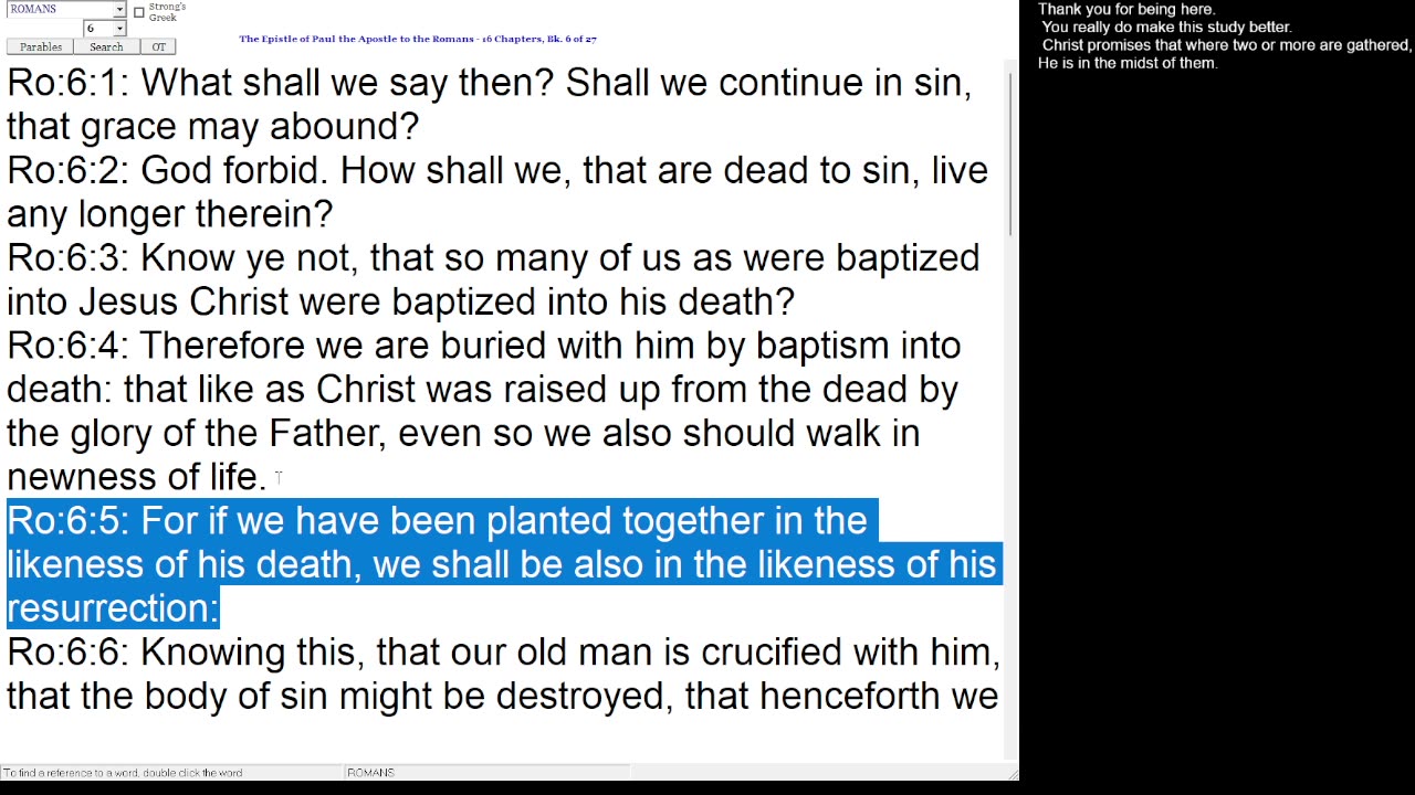 Psalm 119:41-48