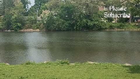 Silent time with nature