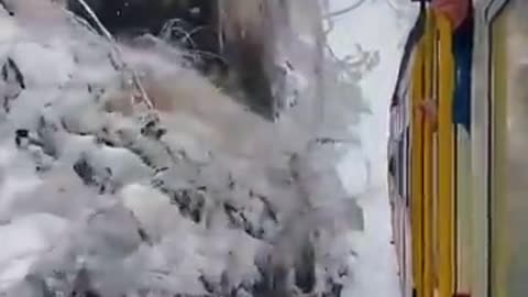 Viral: Shimla to Kalka by Toy Train #viral #travel #reels #shorts #youtubeshorts