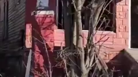 Detroit's sad condition.....negros tells the truth (miracles do happen)