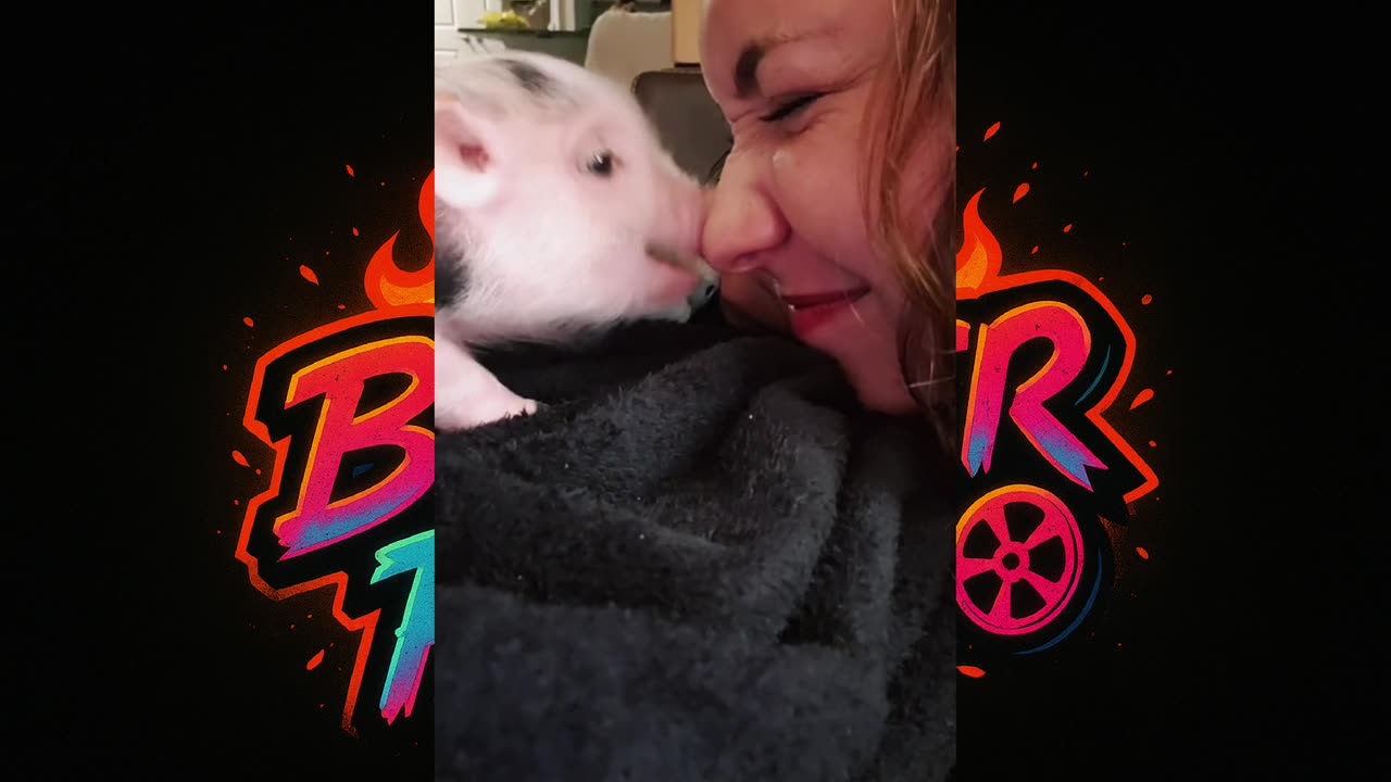 🐽 😂 Adorable Piglet Fails - Must Watch!