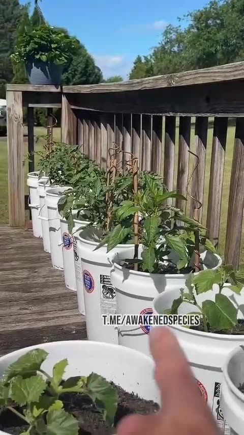 No arguing with these results.