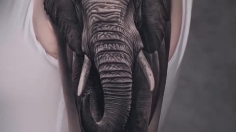 Beautiful Elephant tattoo healed!!!- Jose Contreras TX