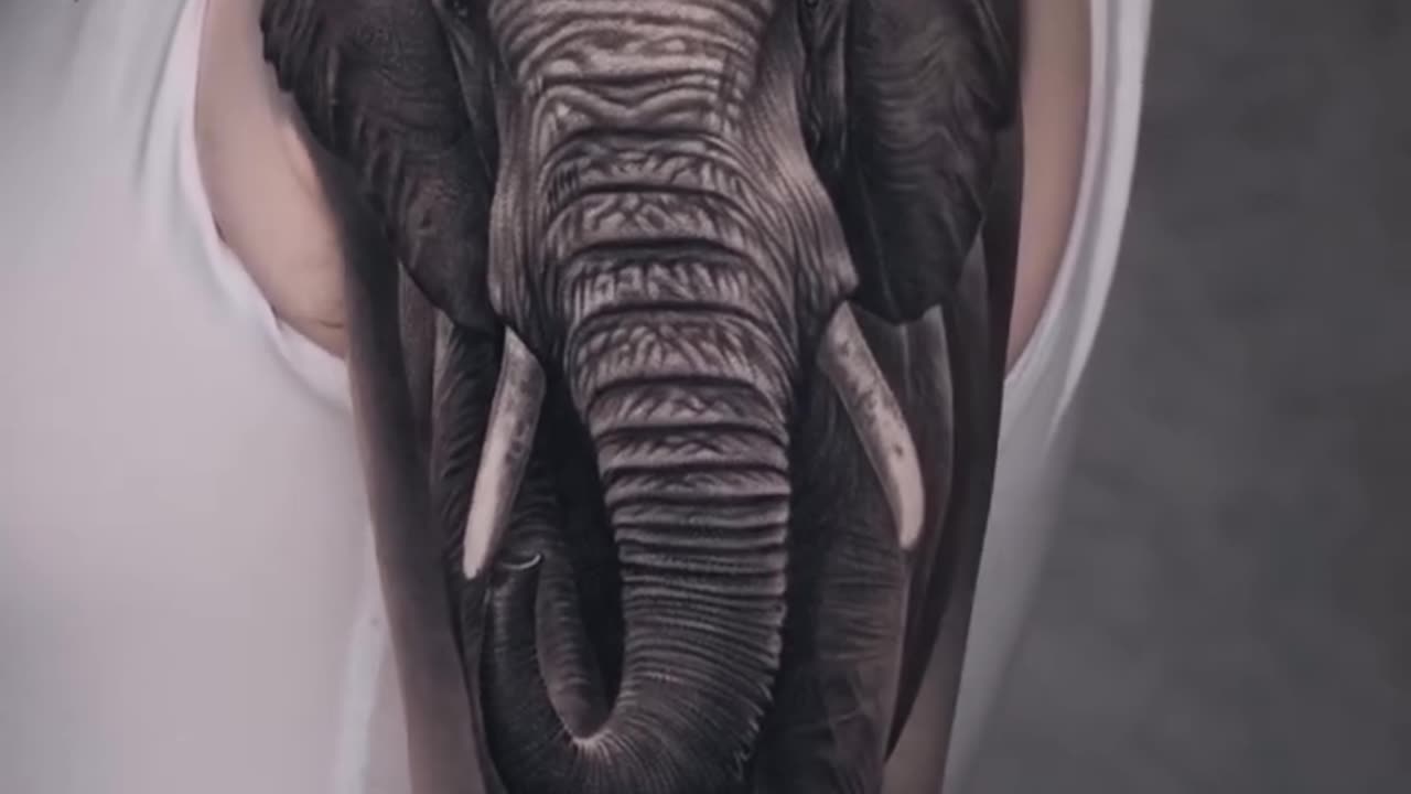Beautiful Elephant tattoo healed!!!- Jose Contreras TX