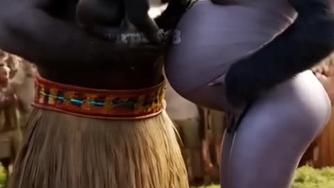 funny animals videos