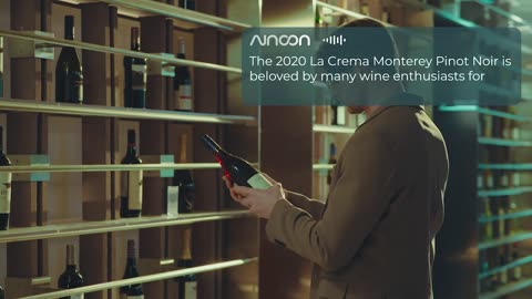 AInoon: AI Smart Glasses That Actually Help You — Instantly
