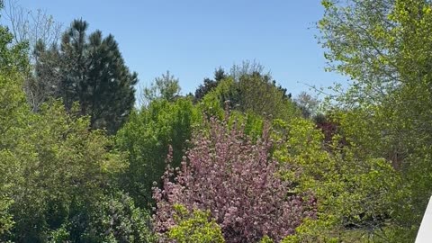What a nice day