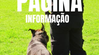 Curso vigilante Évora
