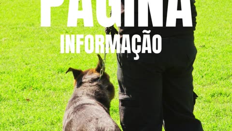 Curso vigilante Évora