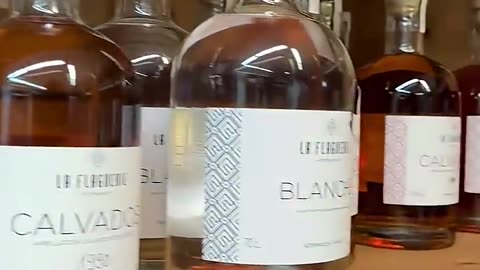 Normandy’s Best Cider & Calvados 🇫🇷 A Taste of France!