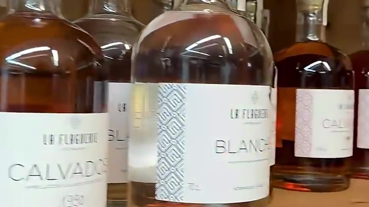 Normandy’s Best Cider & Calvados 🇫🇷 A Taste of France!