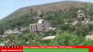 Oduu Galgala ONM-ABO Sadaasa 5-2025 itti dhiyaadhaa!