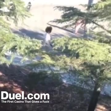 Chimp takes female cops gun