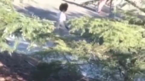 Chimp takes female cops gun