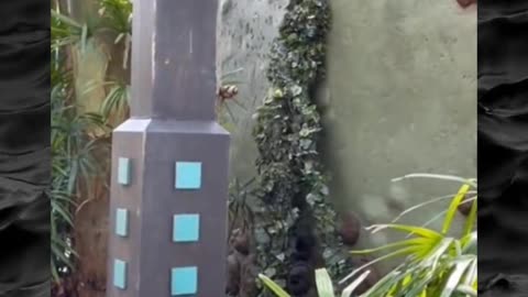 😨👻 Unexplainable Haunting Caught on Camera! | TheHauntingHour