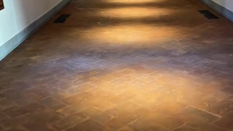 Walk with me through the Vasari Corridor in Florence