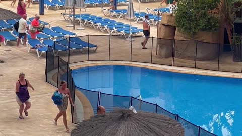 Sun Bed War