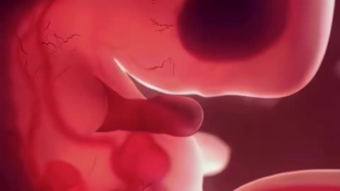 IVF Secrets: What Clinics DON’T Tell You (Shocking Truths)