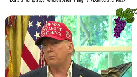 Donald Trump Says "Whole Epstein Thing" Is A Democratic "Hoax"