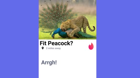 Economics Explains Why Dating Apps Suck