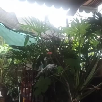 Pray for Philippines