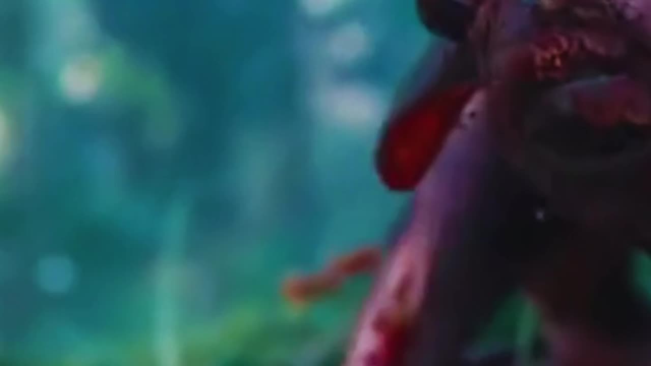Amazing Viral Video