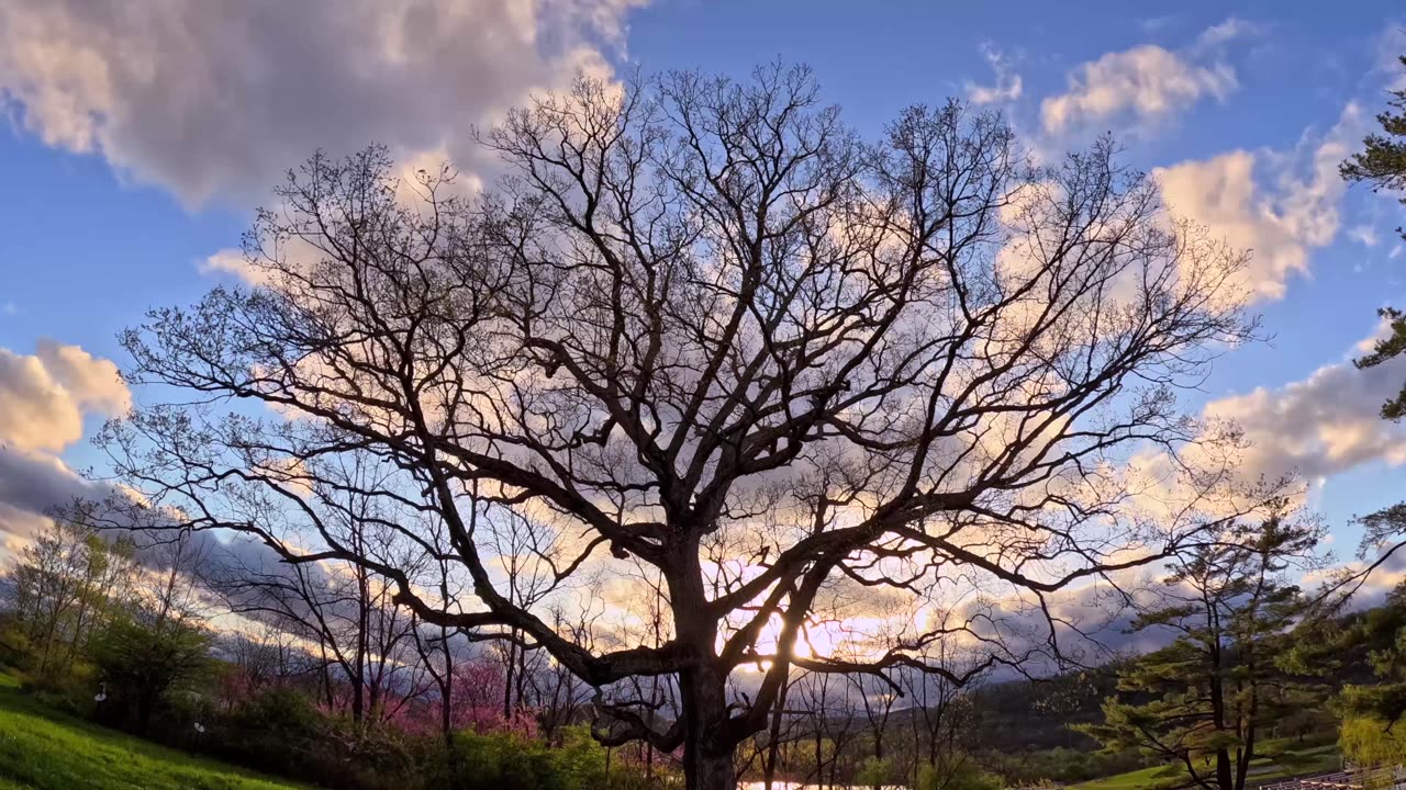 Sunset at Bald Eagle State Park