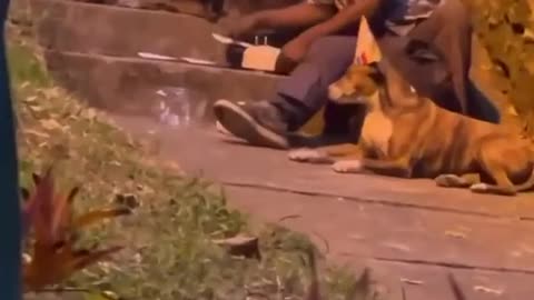 happy birthday friend