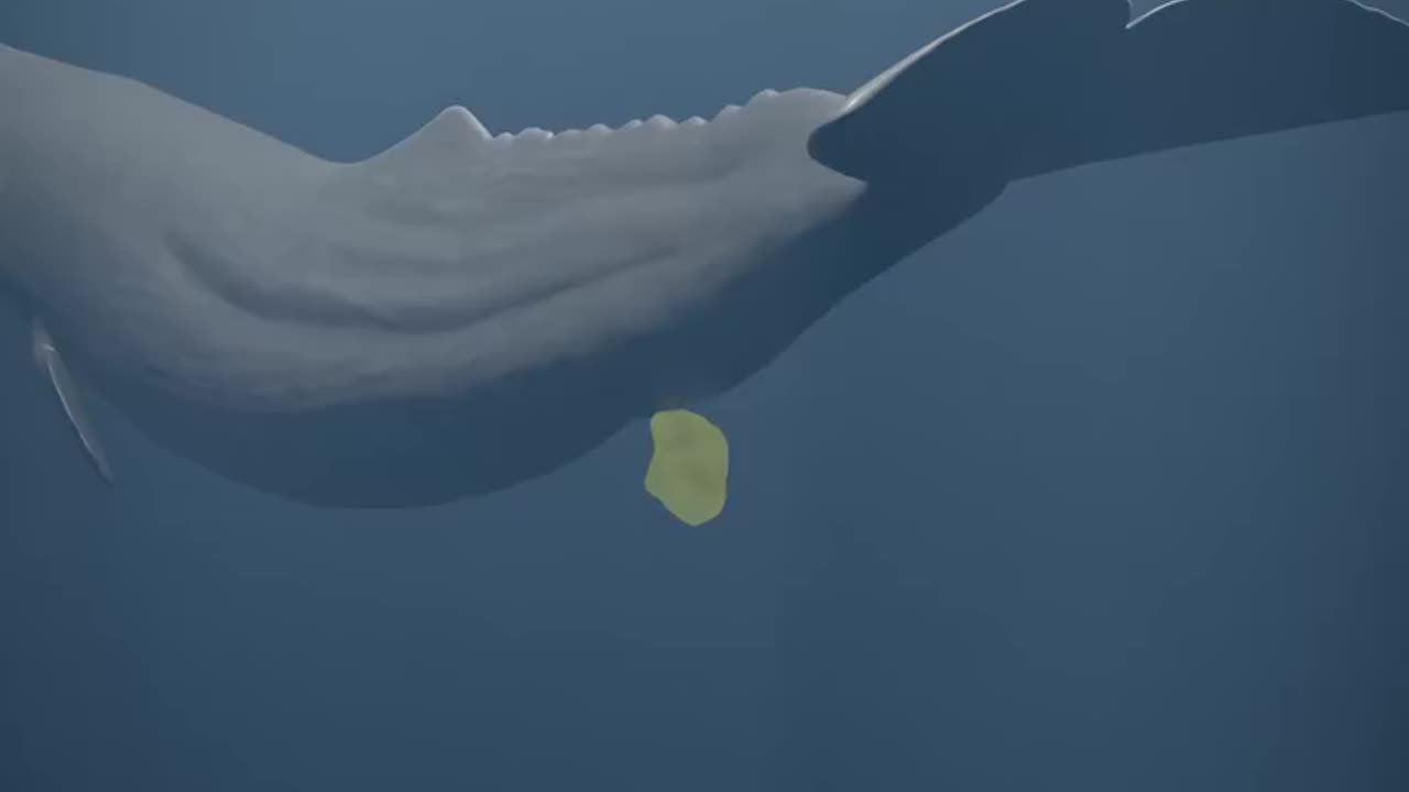 Whenever you saw this don't touch it